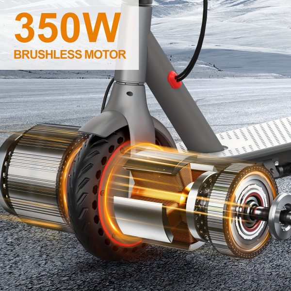 Ladped LP80 Electric Scooter | 19 Mile Range, 350W - Image 4